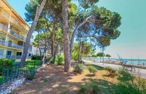 LITORAL COSTA DORADA - MIRAMAR Only families - Photo 5