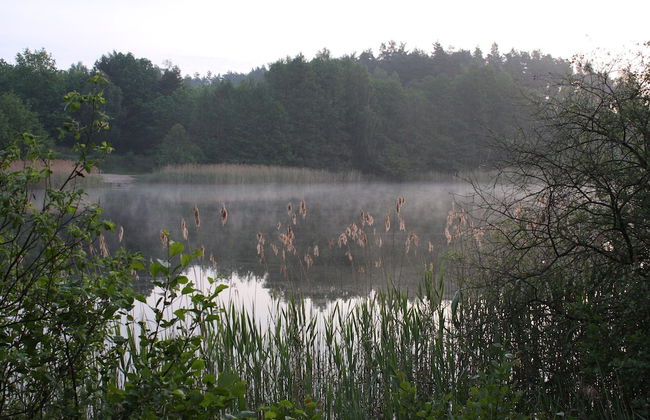 Terraced House, Lohmen - Foto 33