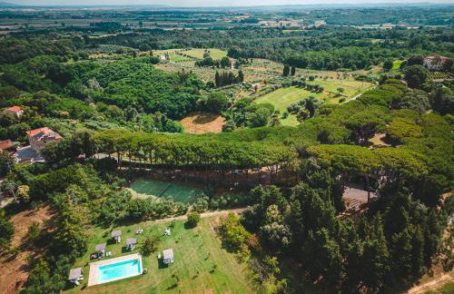 Fattoria Laviosa - Foto 34