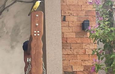 Recanto Madri - Foto 34