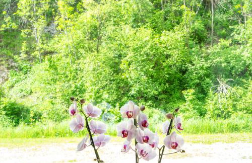 Chalet Tolder - Foto 30