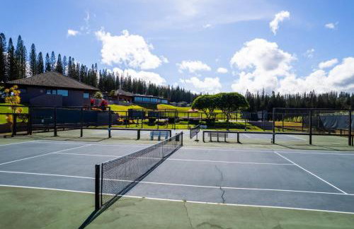Kapalua Golf Villas 2 Free cars KBM Resorts Large Bedrooms 2 Units 3 Bedrooms ML-2189 - Foto 83
