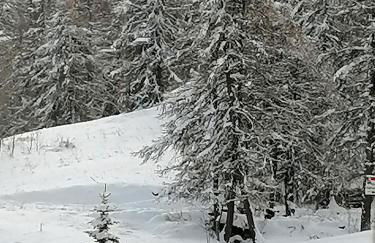 CŒUR D'ALTAÏR RISOUL 1850 Appartement T2 confortable skis aux pieds - Foto 30