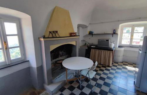 AFFRESCATO - Palazzo Ravaschieri - Foto 9