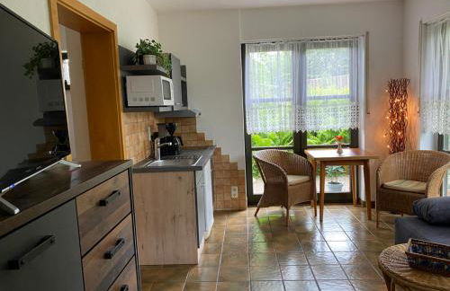 Ferienwohnungen Elsterblick Bad Elster - Foto 50