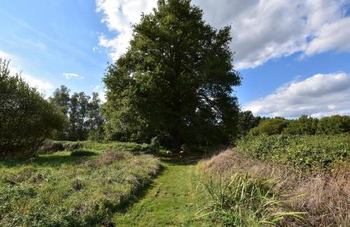 Holiday Home in Le Châtelet with Pool - Foto 30