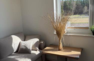 Apartamenty na Wzgórzu Boho 1- Jacuzzi, sauna, survival, free parking - Foto 41