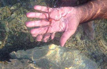 Holiday Home - Apartment Carmen - Foto 65