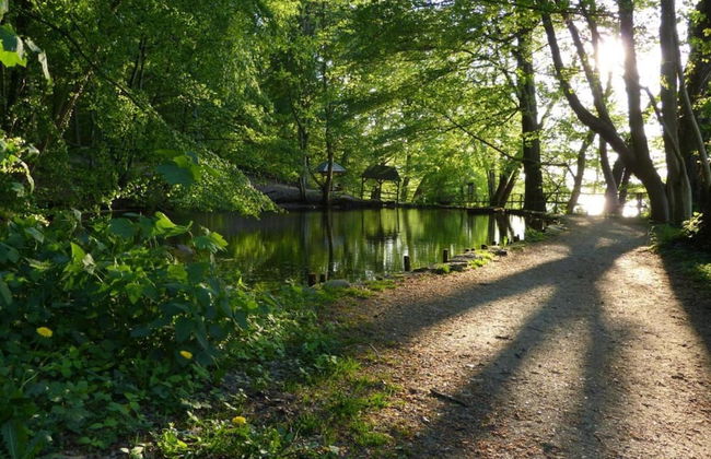 Beautiful Authentic Mill Close to the Beach - Foto 29