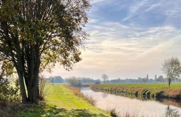 Allee zum See - Foto 28