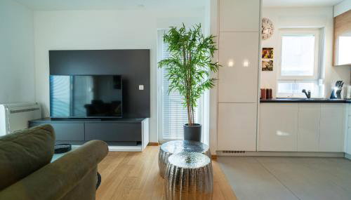 Apartment Wing 77 by Belmont Realty - Photo 3