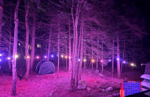 Deer Trails Retreat -Pocono Getaway Near Kalahari - Foto 53