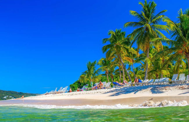 Tour privato di avvistamento di balene - Foto 1