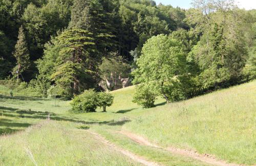 Owlpen Manor Cottages - Foto 37