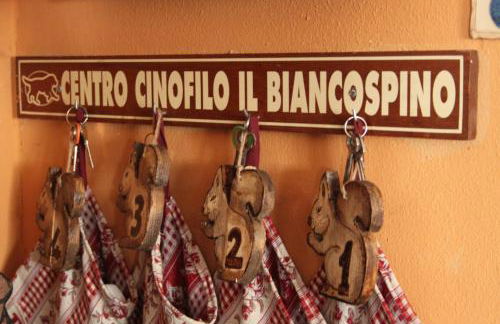 Il Biancospino - Foto 19