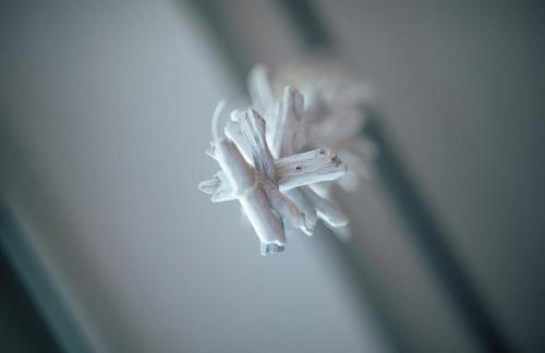 Stein W28 Cutty-Sark - Foto 50