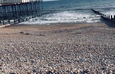 Top of the House - Photo 12