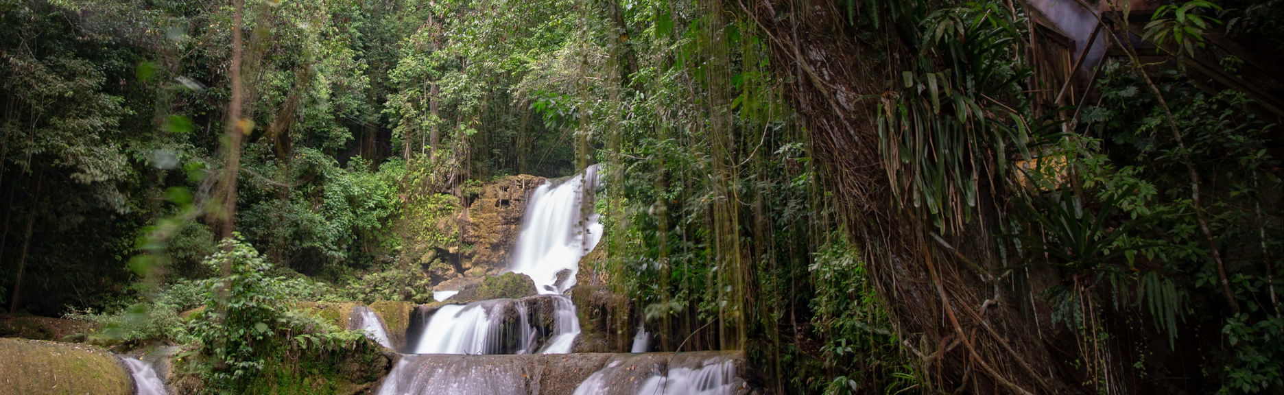 Escursione a Black River e alle Cascate YS