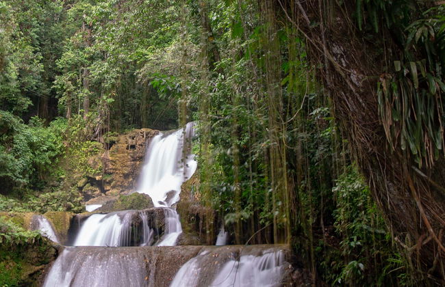 Escursione a Black River e alle Cascate YS - Foto 1