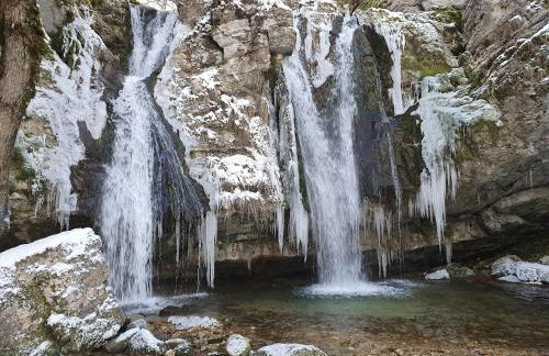 Le pied-à-terre du botaniste - Foto 24