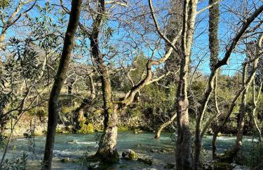 Davelis House - Photo 54