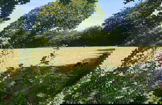 Thornbury Holiday Park - Foto 53