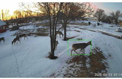 Dirt Road Inn Quiet Country Home - Foto 17