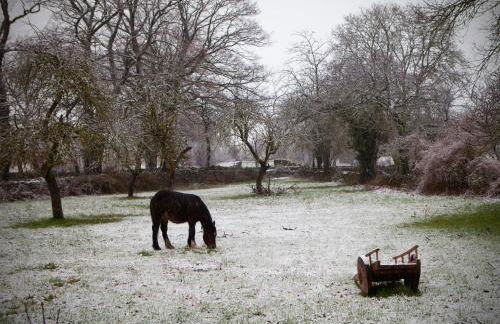 El Cajigal De Quintana - Foto 72