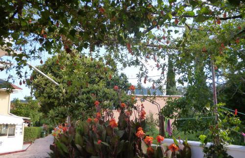 Kostas studios - Foto 30