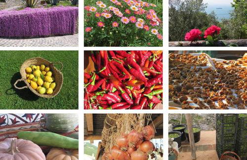 Ancient estate "Il Trignano" - Foto 35