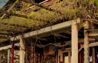 Mare Maravella Costa Brava Nature - Foto 17