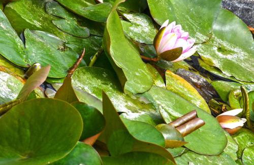 The Ranch of Ancient Ilida - Foto 42