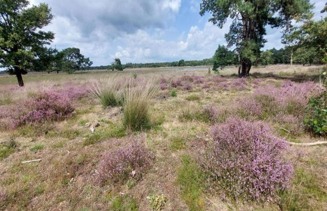 Bungalow in De Peel by Forest Retreat - Photo 25
