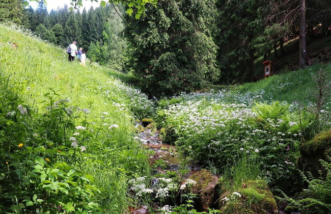 Wohnung Steinbach Nahe Skihalle Oberhof - Foto 23