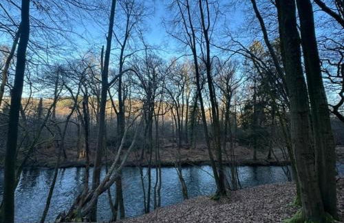 Erholung in der Freiheit - Photo 31