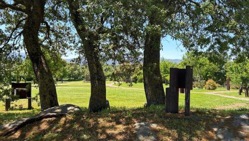 casa rural de un artista en plena naturaleza piscina y parque de esculturas en villarcayo - Foto 5