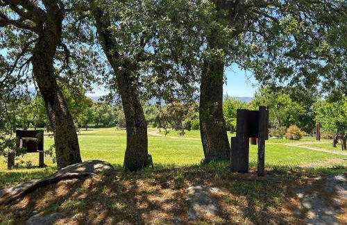 casa rural de un artista en plena naturaleza piscina y parque de esculturas en villarcayo - Photo 5