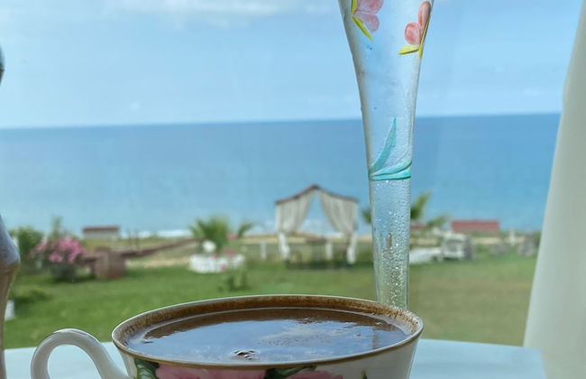 Perice Konak - Photo 51