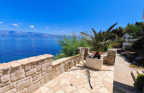 Robinson Merlot - Foto 15