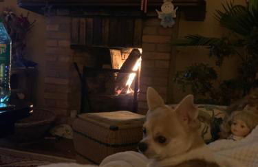 Gutshaus Schwarzenhof - Foto 21