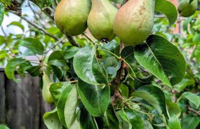 2 Bed 2 Ensuite Modern House With Parking - Foto 7