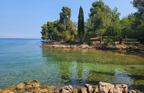 Villa Kučan - Foto 55