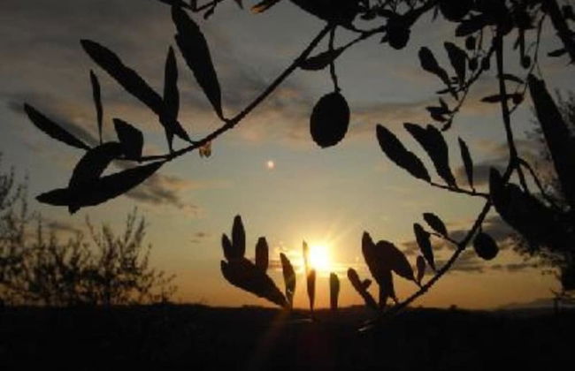 Agriturismo Podere Sottogello - Foto 16