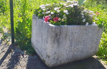 Agriculture & Holiday house Lasko - Photo 14