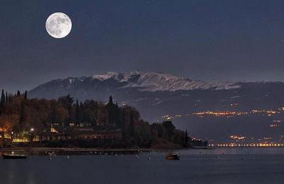 Prato Verde - Girasole - Foto 15