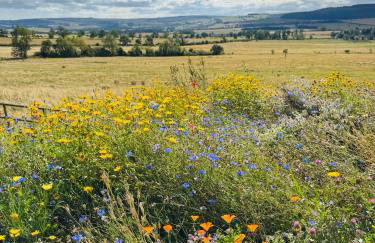 Turnpike House - Foto 15