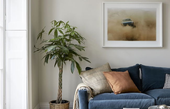 Angel Collection - Foto 40