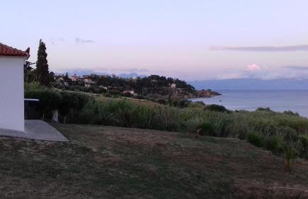 Margarita House - Photo 57