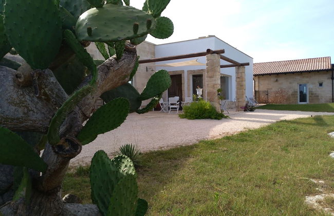 Falcon Home Resort - Photo 64