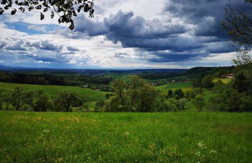 Tourenblick - Ferienwohnung an den drei Kaiserbergen - Foto 24